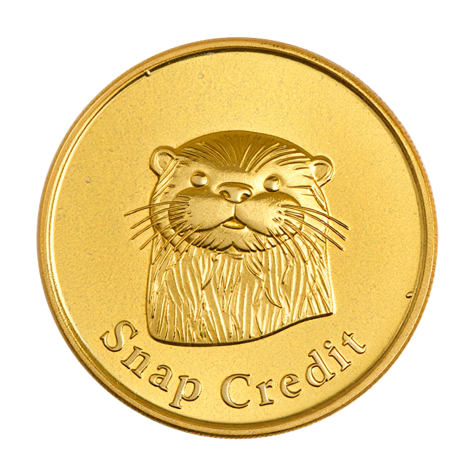 Storysnap golden coin with otter