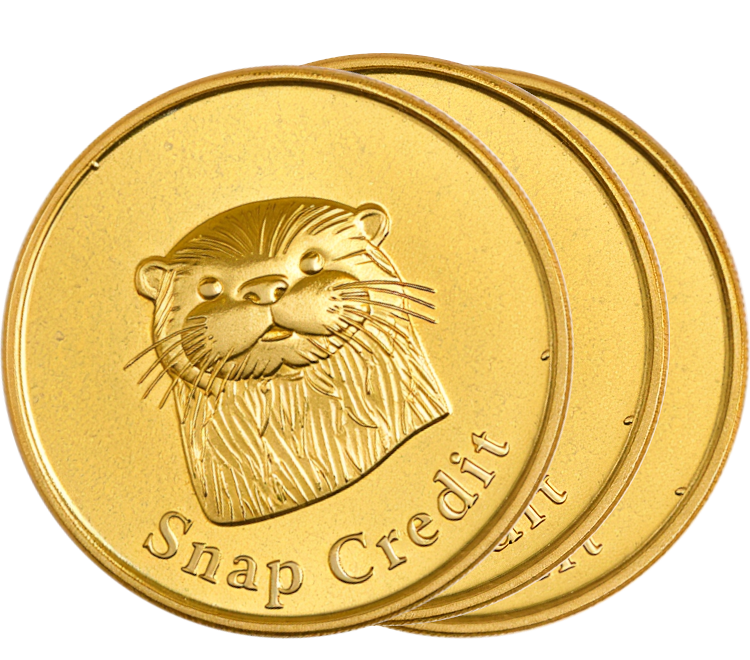 Storysnap golden coin with otter